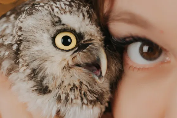 Kaszinó Lucky Tiger Támogatás